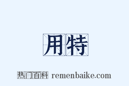 用特是什么意思的图片